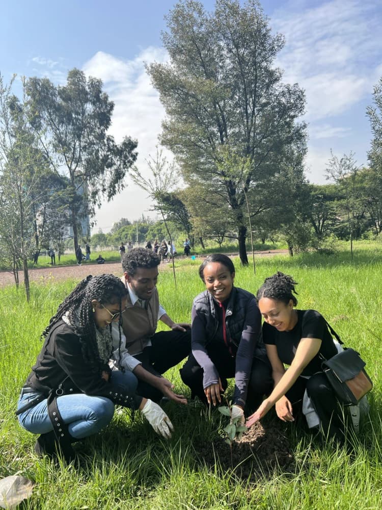 Outdoor team activity